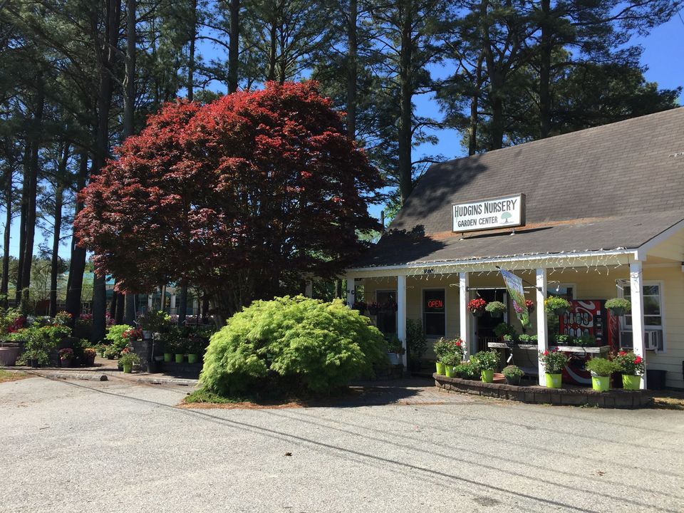 Hudgins Nursery and Garden Center The Buck Stays Here